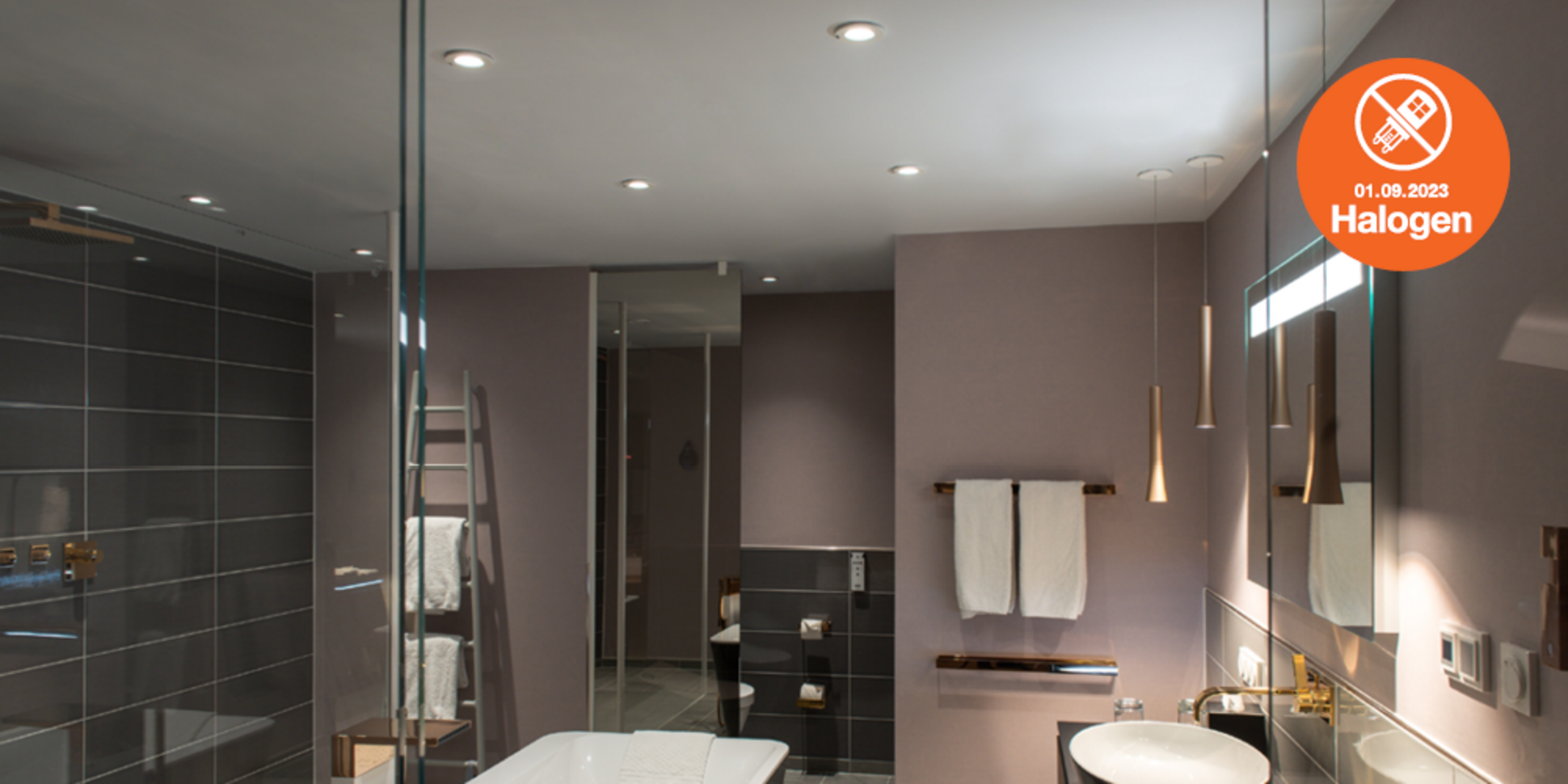 Lösungen zum Halogenlampen Verbot bei Michael Herrmann in Hörselberg-Hainich