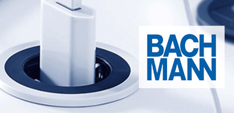 Bachmann bei Michael Herrmann in Hörselberg-Hainich